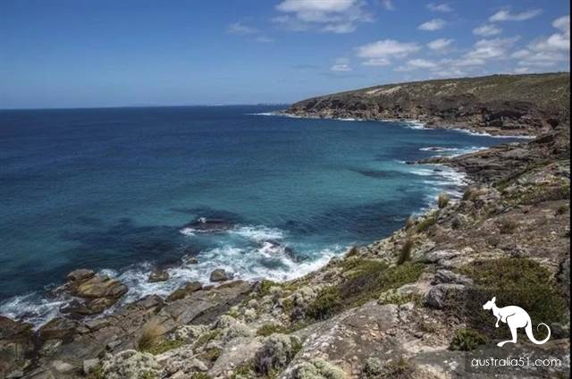 South Australia self-driving strategy: al Peninsula and sea lion travel together, watch 'Watermelon Avenue'