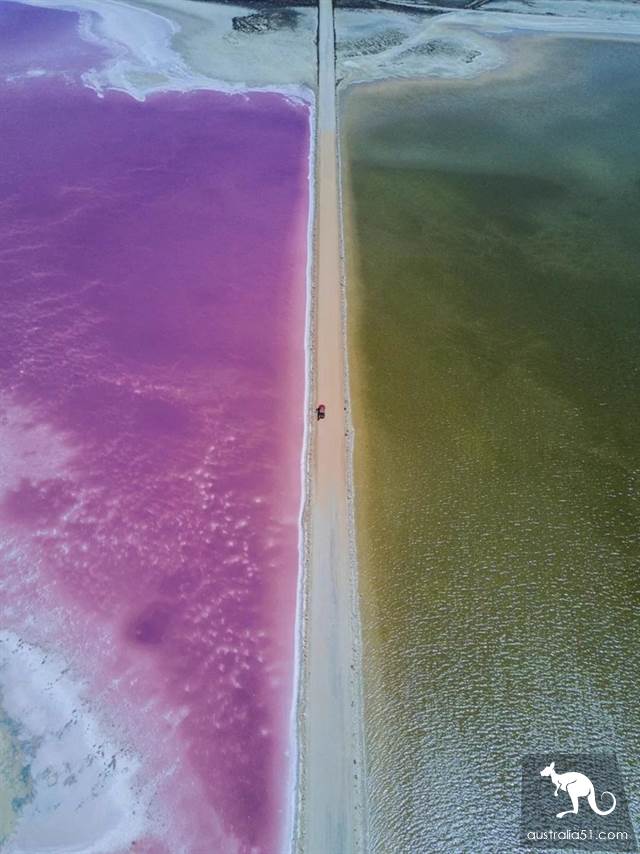 South Australia self-driving strategy: al Peninsula and sea lion travel together, watch 'Watermelon Avenue'