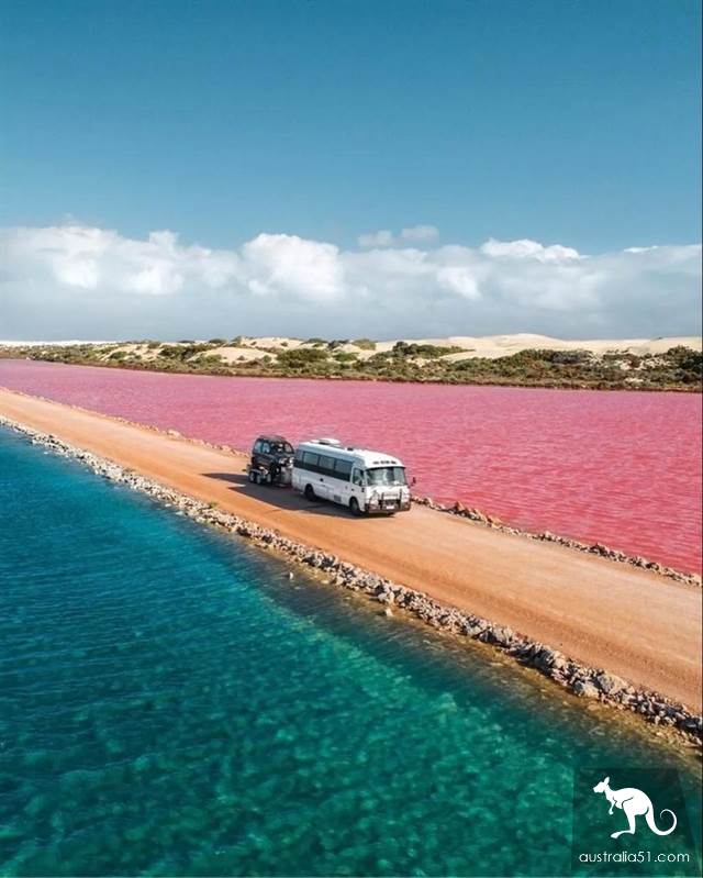 South Australia self-driving strategy: al Peninsula and sea lion travel together, watch 'Watermelon Avenue'