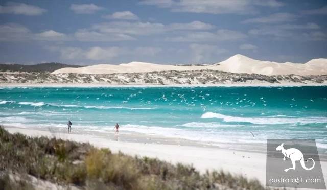 South Australia self-driving strategy: al Peninsula and sea lion travel together, watch 'Watermelon Avenue'
