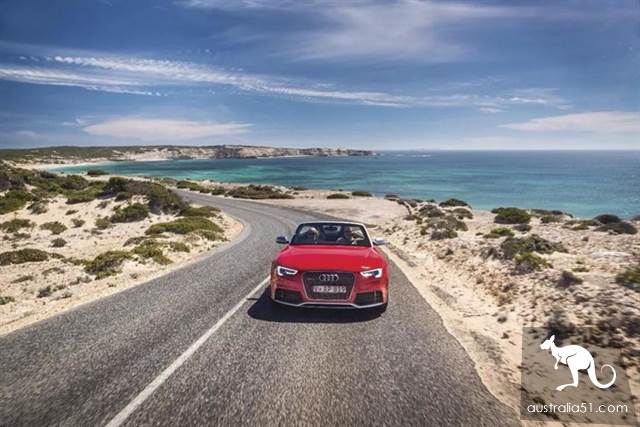 South Australia self-driving strategy: al Peninsula and sea lion travel together, watch 'Watermelon Avenue'