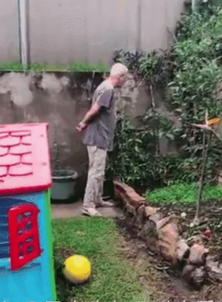 'expensive and bad food!' Chinese aunt diss Australian Kindergarten, she was all right! The 'dirty' kindergarten, so that all the children are 'wild' to fly up