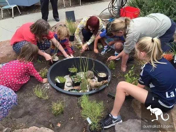'expensive and bad food!' Chinese aunt diss Australian Kindergarten, she was all right! The 'dirty' kindergarten, so that all the children are 'wild' to fly up