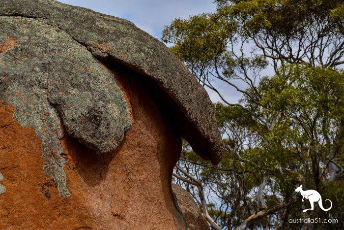 Murphy Hay pile in South Australia, an ancient group of rocks that are disappearing
