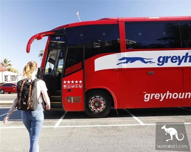 How to travel around Australia gracefully? The Greyhound bus Survival Guide you deserve.