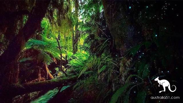 大洋路高阶旅行指南，你应该知道的小众玩法