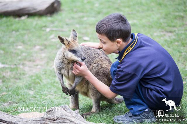 One-day tour around Adelaide, south Australia, to these four places