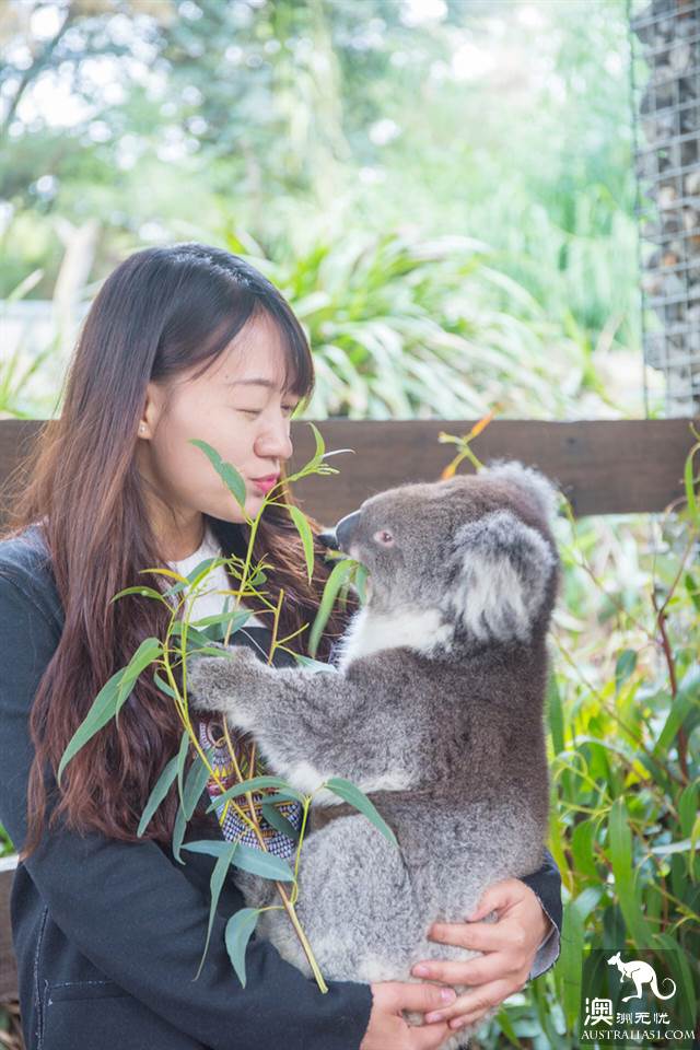One-day tour around Adelaide, south Australia, to these four places