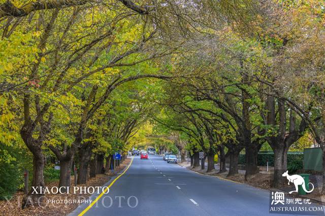 One-day tour around Adelaide, south Australia, to these four places