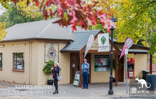 One-day tour around Adelaide, south Australia, to these four places