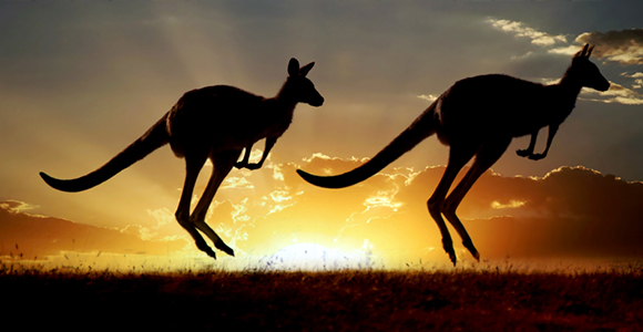 A Survival Guide for Australia's Inland RV self-driving Expedition