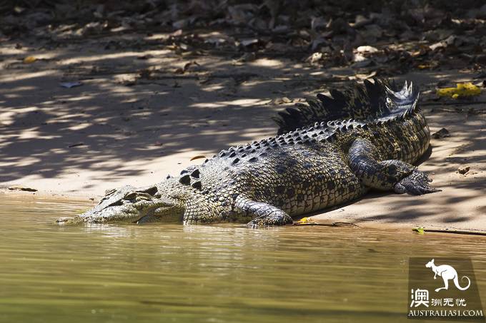 A Survival Guide for Australia's Inland RV self-driving Expedition