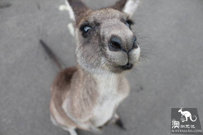 Eight days around the island, visiting the 'end of the world' Tasmania, Australia