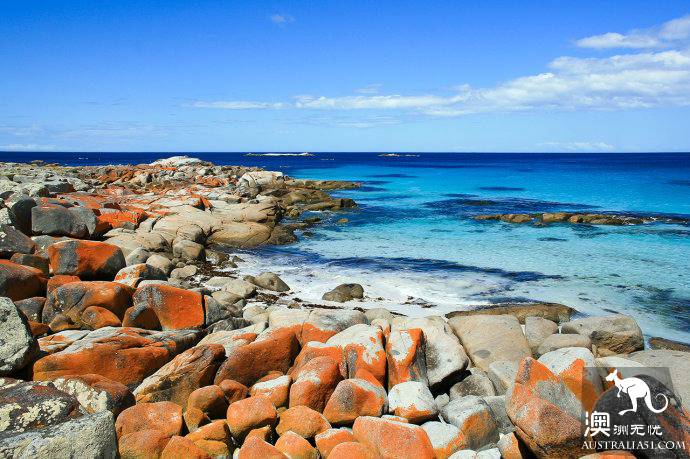 Eight days around the island, visiting the 'end of the world' Tasmania, Australia