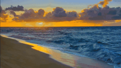 Melbourne Saint Kitts (St Kilda) the strongest food and drink fun introduction