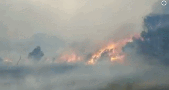 The fire in Wilsons Prom is out of control at Victoria's famous scenic spot! 3000 tourists are evacuating urgently! International Labour Day is not open during the holiday.