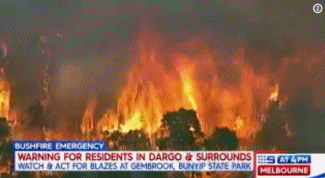 The fire in Wilsons Prom is out of control at Victoria's famous scenic spot! 3000 tourists are evacuating urgently! International Labour Day is not open during the holiday.