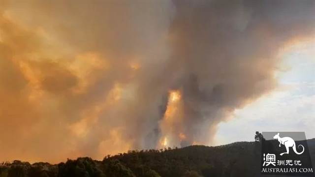 The fire in Wilsons Prom is out of control at Victoria's famous scenic spot! 3000 tourists are evacuating urgently! International Labour Day is not open during the holiday.