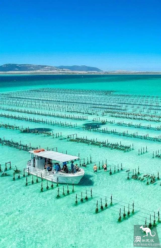 Cry! South Australia actually has a 'watermelon avenue'? Lake McDonnell, full of teenage Ins!