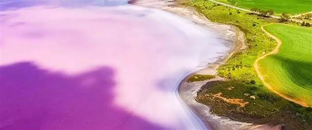 Cry! South Australia actually has a 'watermelon avenue'? Lake McDonnell, full of teenage Ins!
