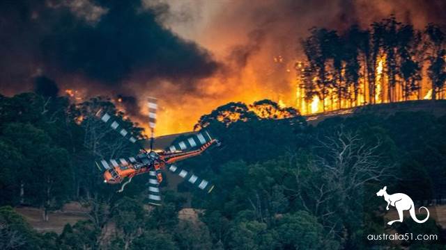 Australian forest fire victims rose to 25, Trump condolences Morrison.
