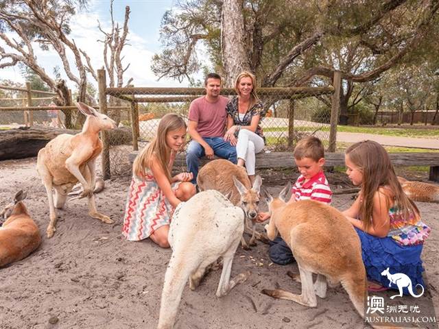 Western Australia Perth urban area and around the play introduction, must go to the scenic spots not left behind.
