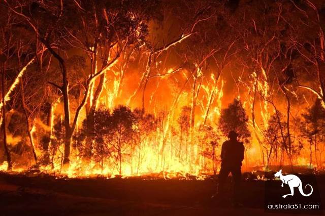 Why are Australian forest fires raging? Six questions for you