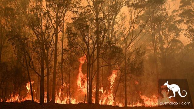 Why are Australian forest fires raging? Six questions for you