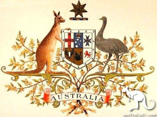 Australia sells kangaroo meat, why not Chinese food lovers?