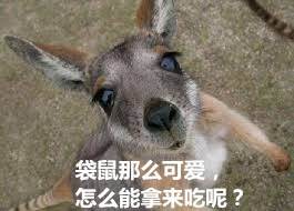 Australia sells kangaroo meat, why not Chinese food lovers?