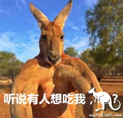 Australia sells kangaroo meat, why not Chinese food lovers?