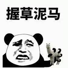 Heavy! Australian media explosion a large number of Chinese students to buy essay, rampant industry has become a cancer! Can you really buy HD for money?