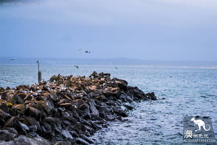 Stanley, a small town on the west coast of Tasmania, has huge stones as stunning as Uluru.