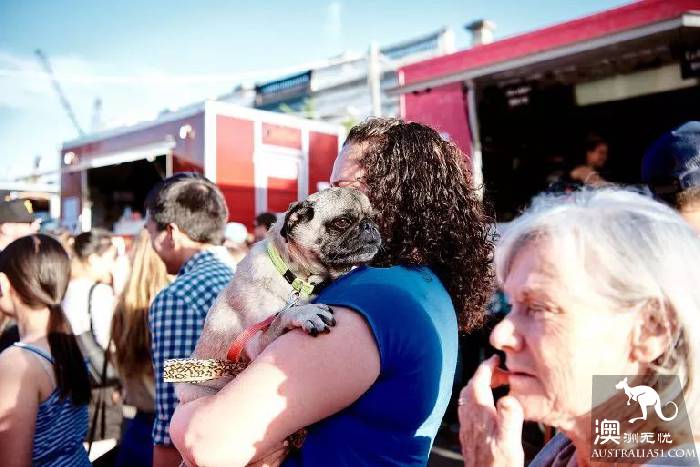South Melbourne Market, summer night market starts again! Seafood foodie's favorite art bazaa