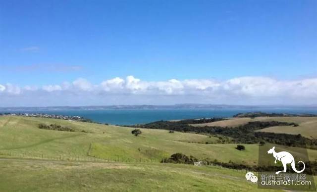 New Zealand announces quarantine point for Wuhan returnees: sea view room, family