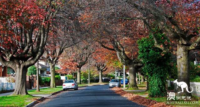 Convenience and livable: the competition of the seven big Chinese areas in Melbourne