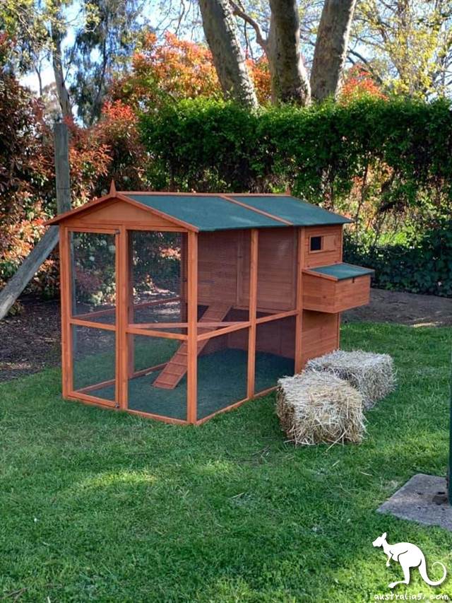 This is Australia! Prime Minister Morrison Rooster House