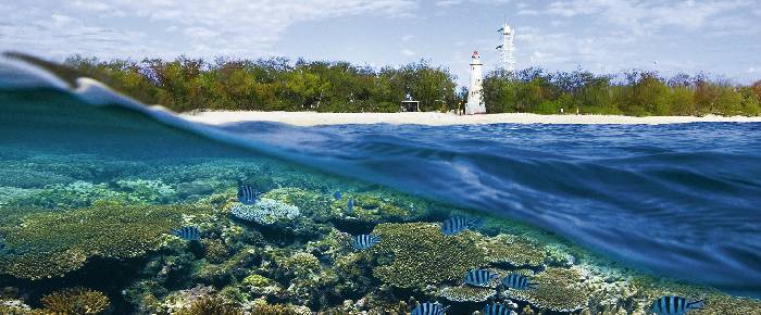 Lady Illite Island, 'Star' on the Great Barrier Reef in Central Queensland