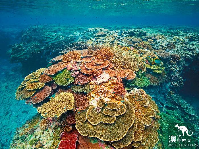 Lady Illite Island, 'Star' on the Great Barrier Reef in Central Queensland