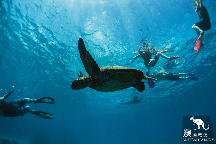 Lady Illite Island, 'Star' on the Great Barrier Reef in Central Queensland