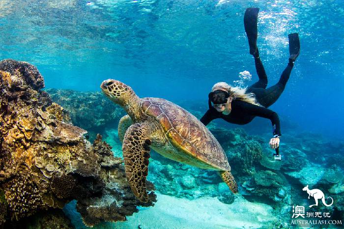 Lady Illite Island, 'Star' on the Great Barrier Reef in Central Queensland