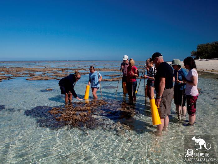 Lady Illite Island, 'Star' on the Great Barrier Reef in Central Queensland