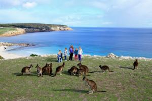 袋鼠岛海浪野生小屋（Waves & Wildlife Cottages Kangaroo Island）
