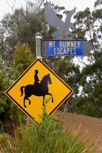 Mount Rumney Escapes（Mount Rumney Estate）