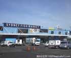 悉尼鱼市场(Sydney Fish Market)