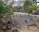 袋鼠谷自然公园（Granite Gorge Nature Park）