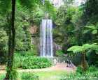 米拉米拉瀑布（Millaa Millaa Waterfall）