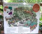 库兰达考拉园（Kuranda Koala Gardens）