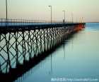 塞杜纳（Ceduna）