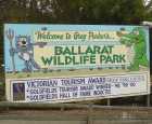 巴拉瑞特野生动物园（Ballarat Wildlife Park）